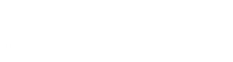 Exicon International Group Logo