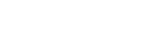 Exicon International Group Logo